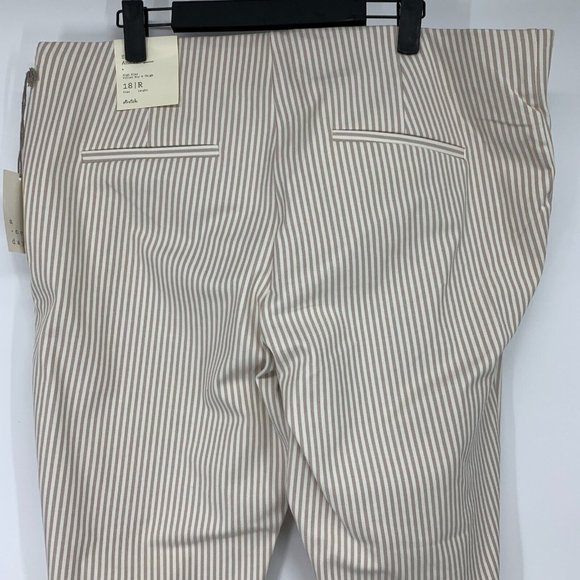 A New Day Pants High Rise Slim Fit Ankle Beige White Stripe NWT - Picture 8 of 12